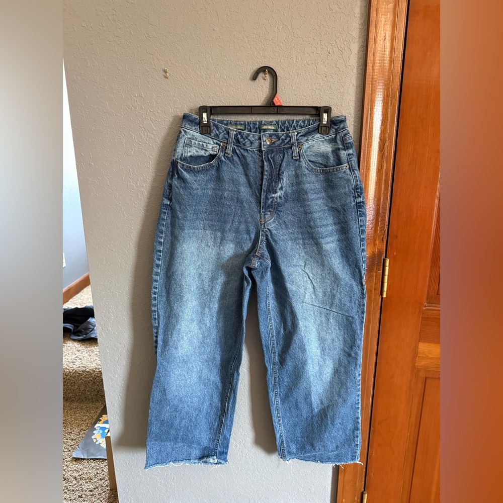 Wild Fable Classic Blue Denim Jeans